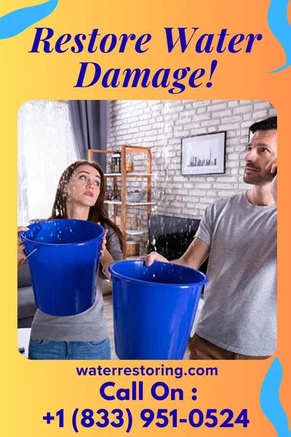 water restoration Ironclad Damage Restoration Services Sunset Valley
